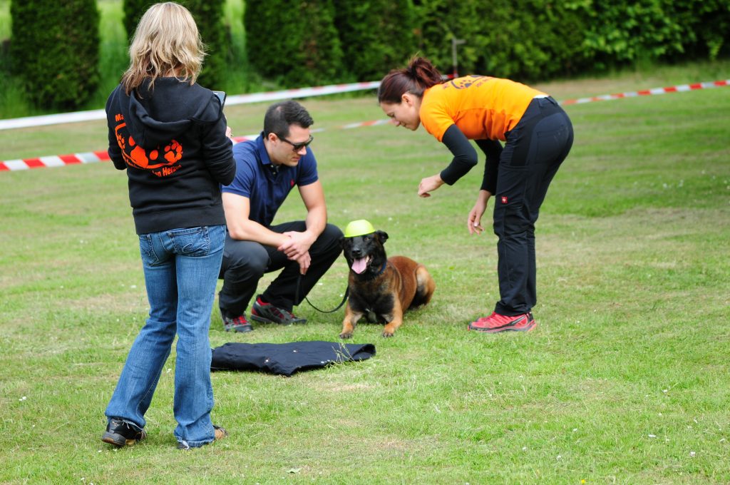 Hundetrainerausbildung Sachkunde Lehrgang §11 TierSchG