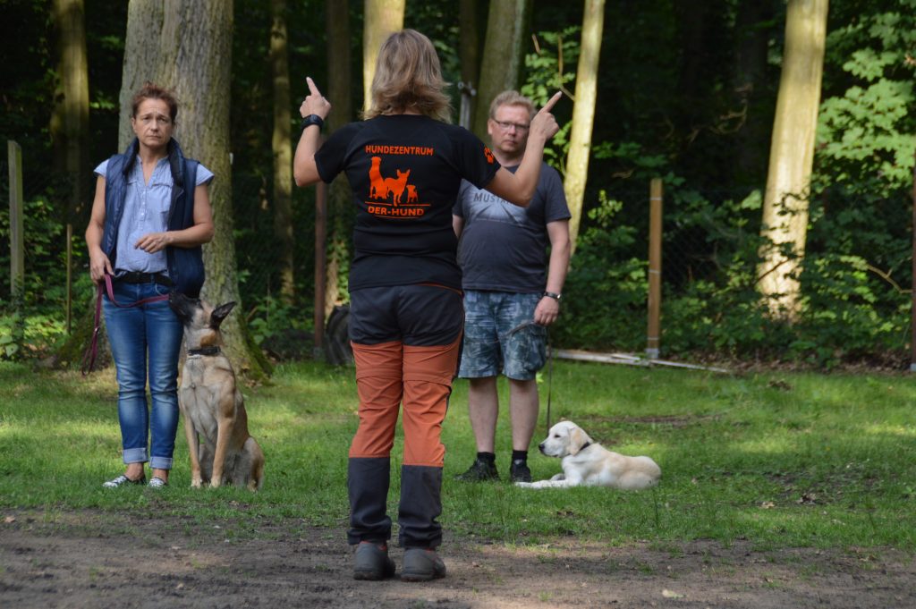 Hundetrainer Sachkunde Sachkunde Lehrgang §11 TierSchG